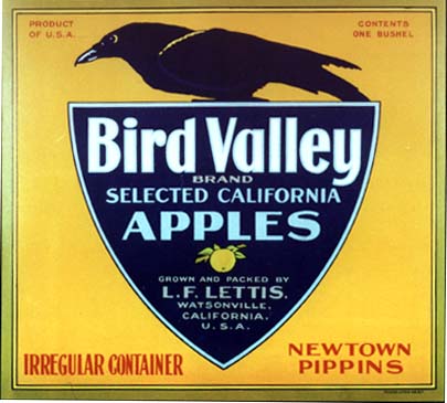 L1346 BIRD VALLEY CALIFORNIA APPLES